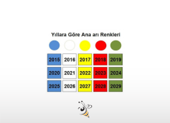Ana Arı İşaretleme Kalemi - Beyaz