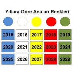 Numarasız Apolet-Yeşil