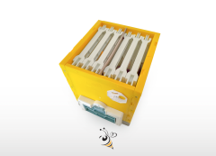 Ana Arı Çiftleştirme Kutusu Üstten Yemlikli - TOPTAN