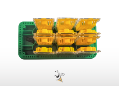 Ana Arı Taşıma Kutusu - Toplu