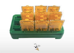 Ana Arı Taşıma Kutusu - Toplu