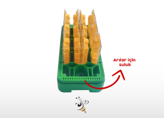 Ana Arı Taşıma Kutusu - Toplu