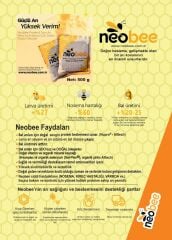 Neobee Doğal Arı Yemi  10-KG