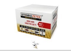 Ana Arı Janter Aleti Seti 401 Parça